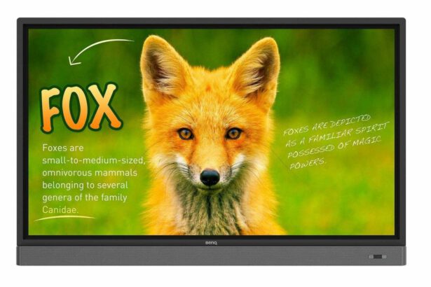 BenQ RP653K min