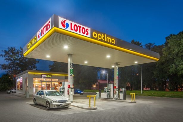 lotos