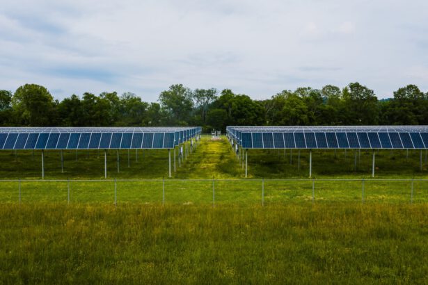 fotowoltaika, energia, oze, rozwój energii odnawialnej