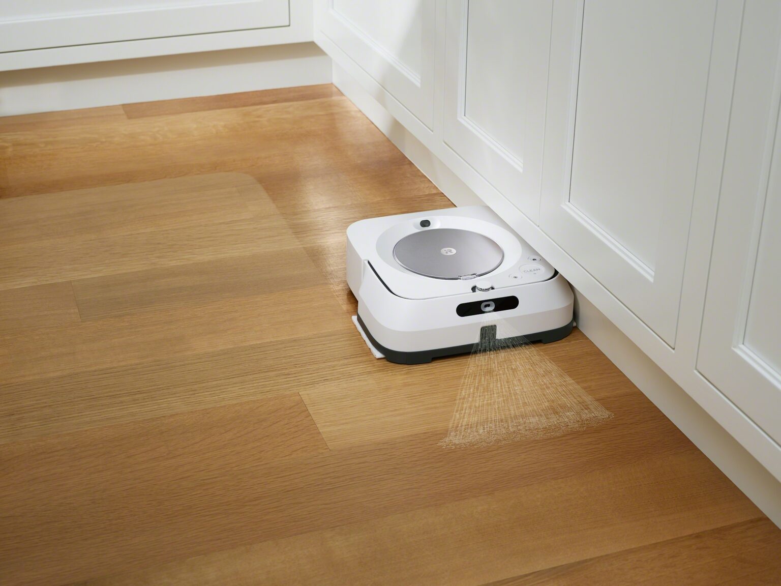 iRobot, roomba