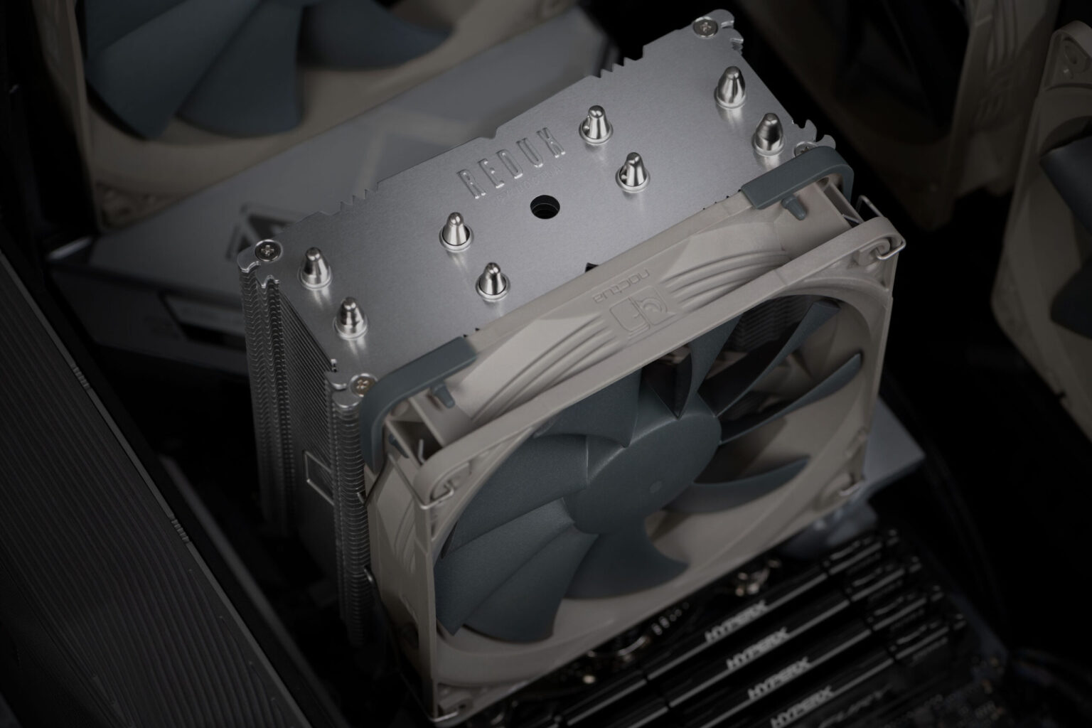 Noctua, Action