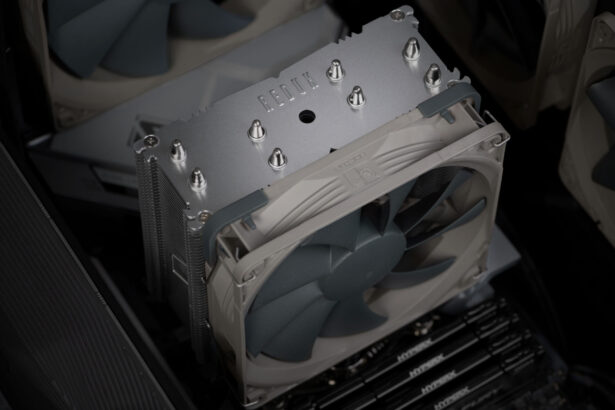 Noctua, Action