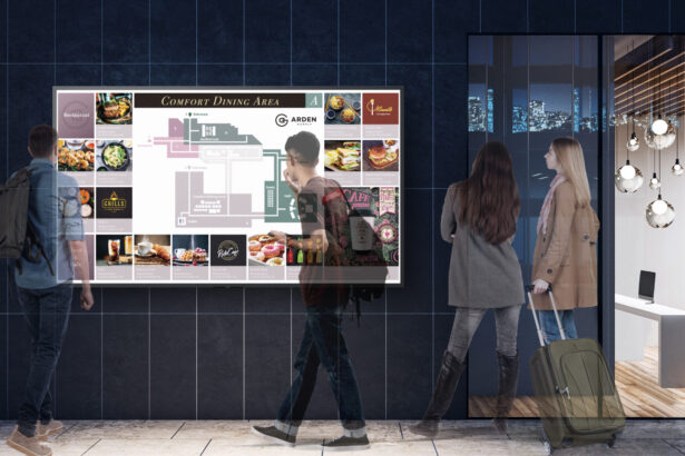 Sony, Bravia