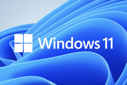 Windows 11