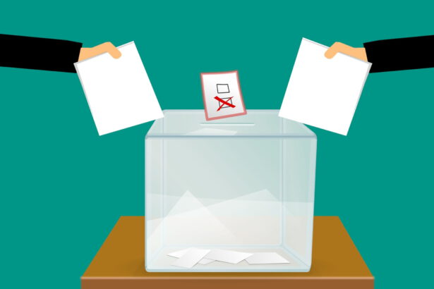 vote voting voting ballot box paper choice 1444335 pxhere.com