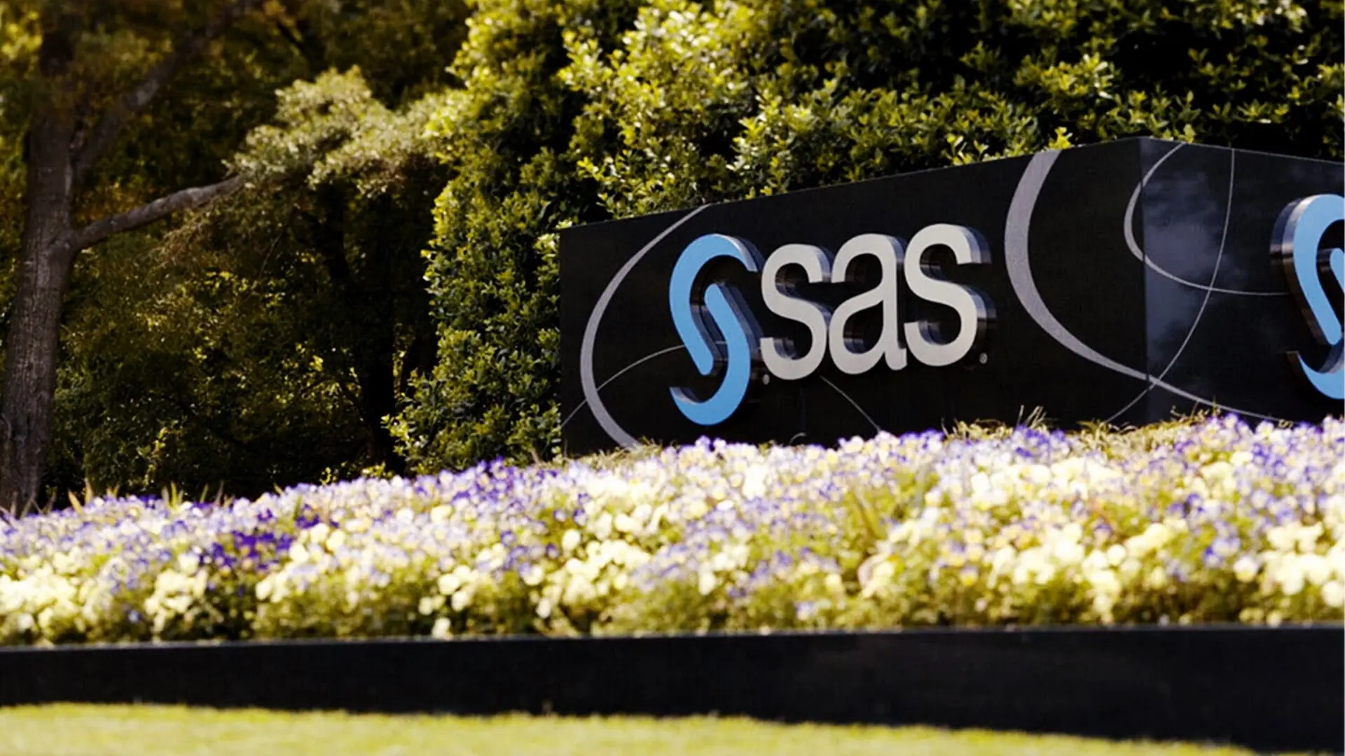 SAS rozszerza możliwości sztucznej inteligencji z Viya