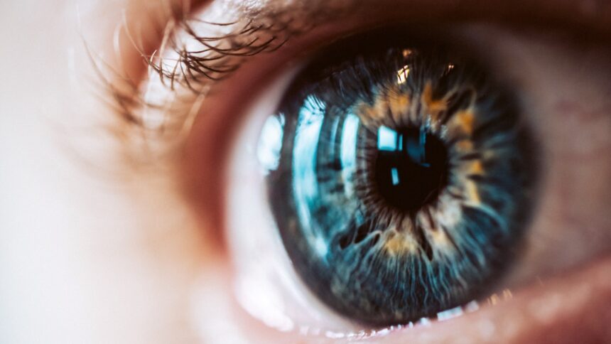 Kamera jak ludzkie oko – przełomowy wynalazek naukowców z University of Maryland