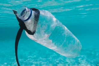 Plastik, środowisko
