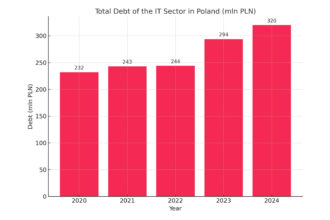 Debt it sector eng