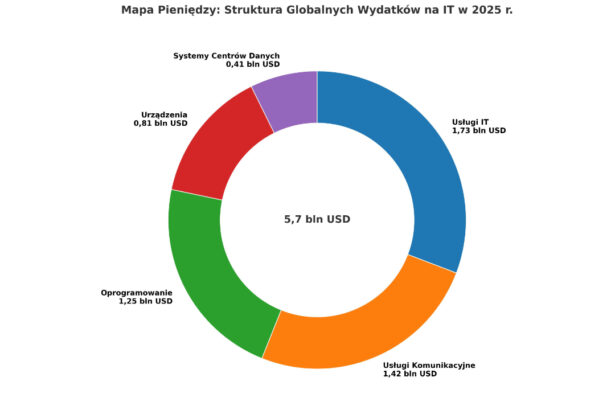 Wydatki na it