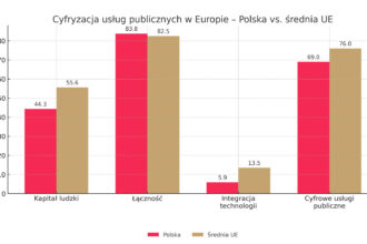 cyfryzacja usług publicznych