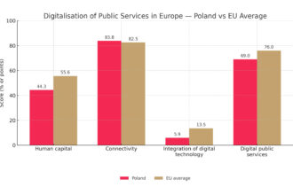 digitalization public sector