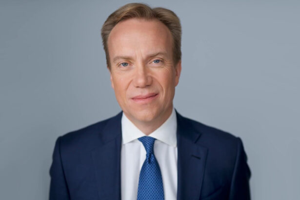 Borge Brende, bańka AI