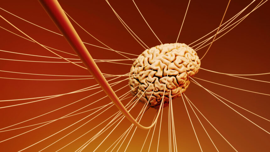 sztuczna inteligencja, sieć